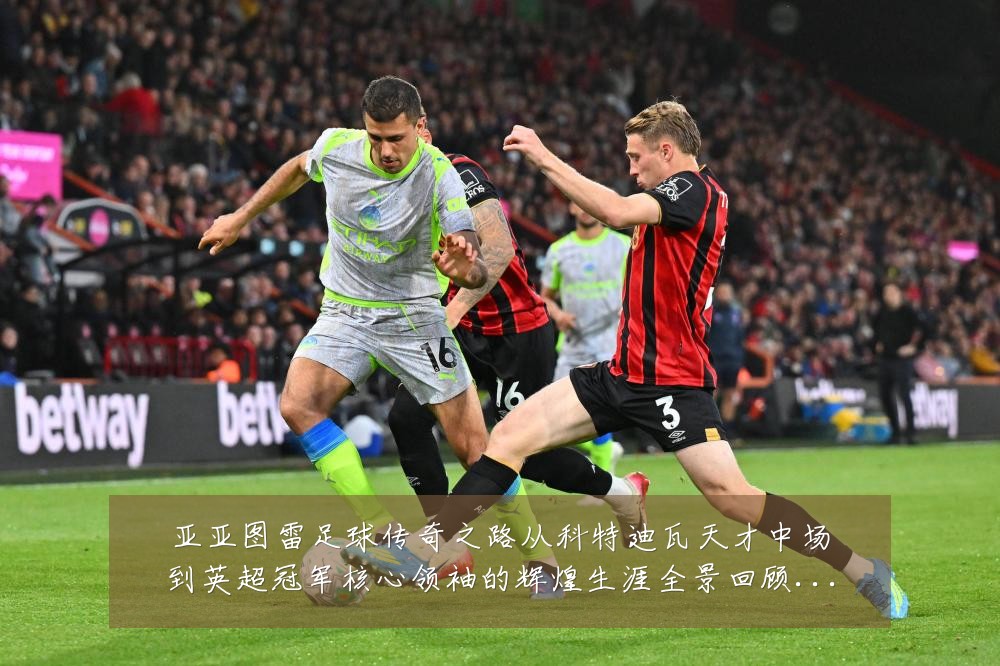 亚亚图雷足球传奇之路从科特迪瓦天才中场到英超冠军核心领袖的辉煌生涯全景回顾:最新赛事动态与深度分析